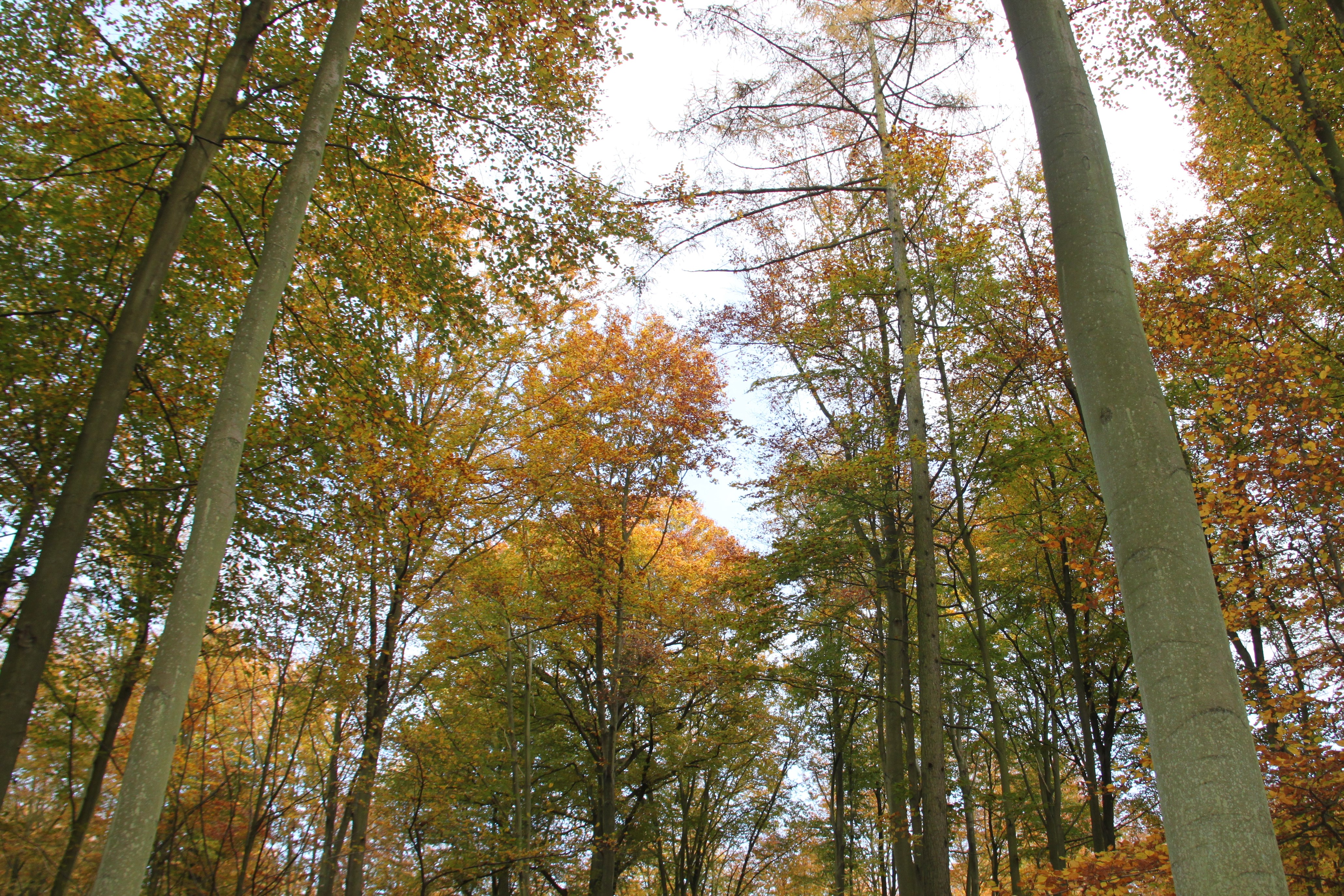Een nieuw Nationaal Park in OudHeverlee? NVA OudHeverlee